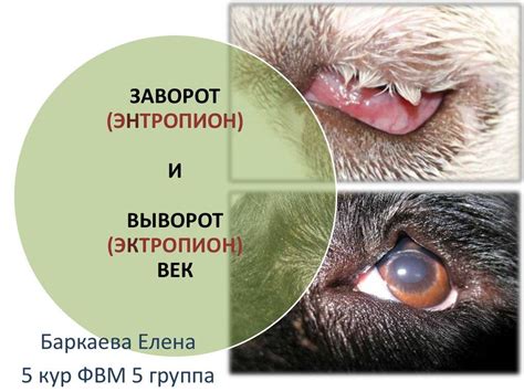 Заворот века как феномен социальных перемен