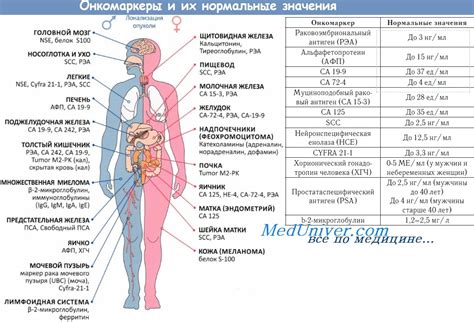 Завышенный онкомаркер: определение и значение