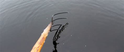 Загадка водить вилами по воде: причудливые действия на водной глади