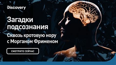 Загадки подсознания: размышление о сновидениях с множеством разнообразных цветных оттенков в грядке