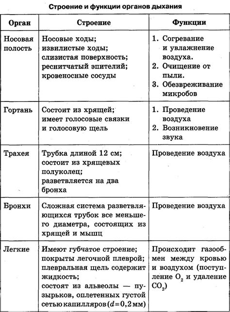 Загадочное значение снов, где главную роль играет орган дыхания