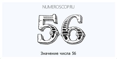 Загадочное значение числа 56 в мире сновидений