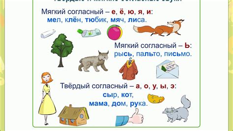 Загадочный звук, пробуждающий мягкие эмоции