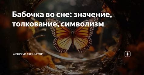 Загадочный символизм малиновых плодов во сне: мнение ислама