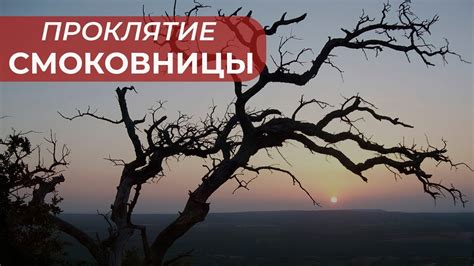 Заговоры и проклятия: смысл русского выражения "надолго упрячься под гнет"