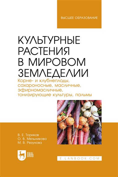 Заголовок 3: Психологический анализ снов о свежеиспеченном корне растения сельдерей