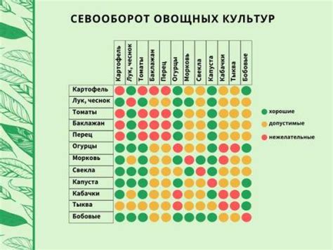 Заготовка овощных сокровищ в печи: сохранение целостности питательных веществ и неповторимых ароматов