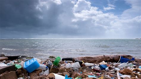 Загрязнение водных ресурсов: опасность для жизни водных организмов