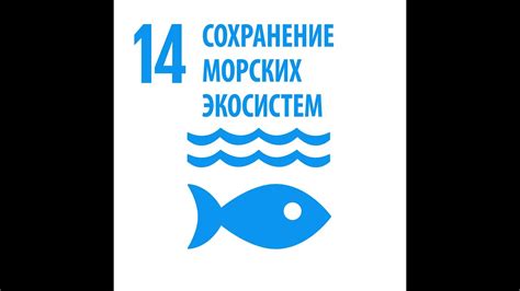 Задача всего человечества: борьба за сохранение недотронутости морей и океанов