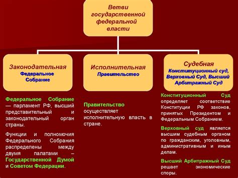 Законодательная власть: функции и принципы работы