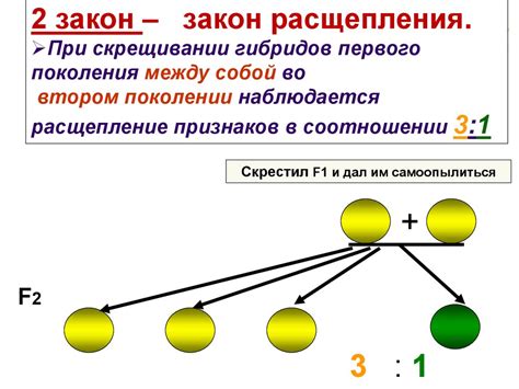 Закономерности наследования через семена