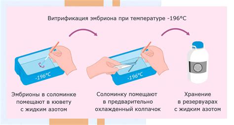 Замороженный эмбрион: понятие и применение