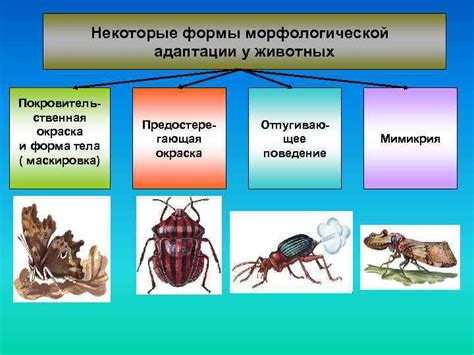 Запахи тела: управление, маскировка и модификация