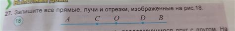 Запишите все детали произошедшего