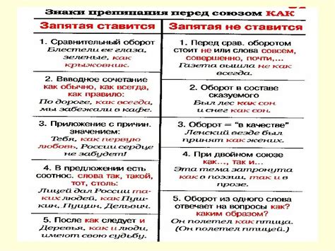 Запятая в предложениях: зачем она нужна?