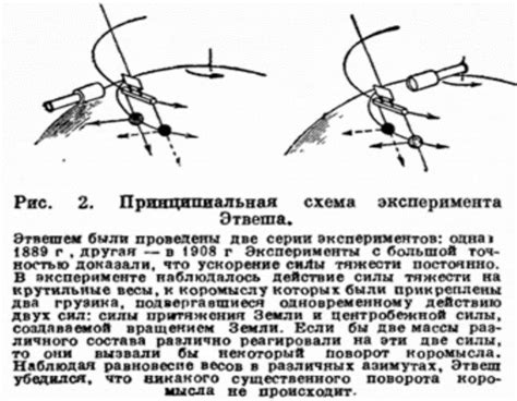 Заслоним мышь: эксперимент силы притяжения