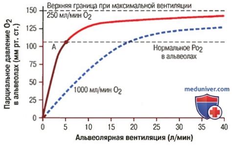 Зачем нам нужно контролировать парциальное давление кислорода?