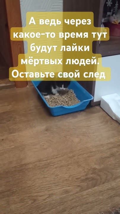 Зачем нужна милота?