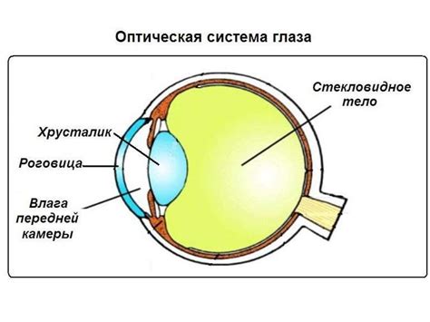 Зачем нужна оптическая система глаза?