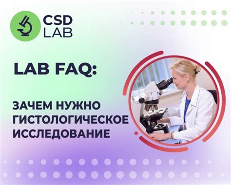 Зачем нужно изучать гистологическое состояние матки?