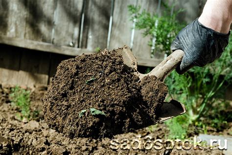 Зачем огораживать землю: плюсы и минусы