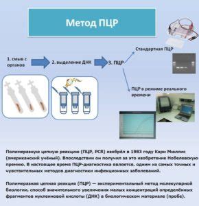 Зачем проводится анализ методом ПЦР?