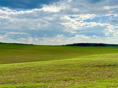 Зачем создавать приволь зеленых лугов?