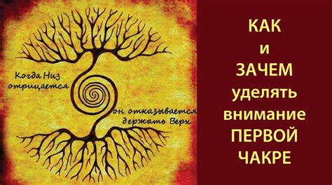 Зачем уделять внимание нетактичности и как это помогает в жизни