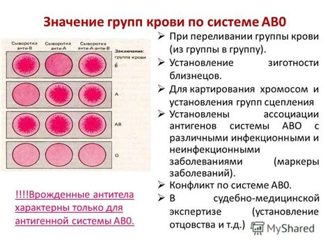 Зачем узнавать группу крови по системе АВО?