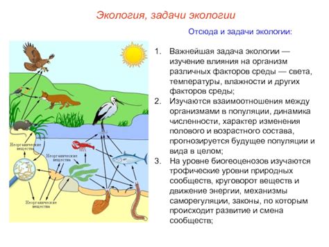 Защита биоразнообразия - важнейшая задача современной экологии