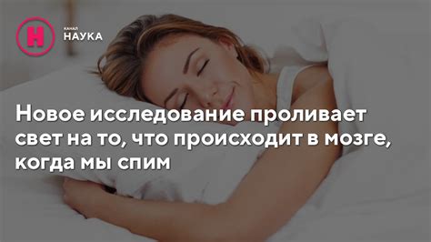 Защита и неопределенность: значимость сна, когда нужно укрыться за дверью