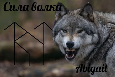 Защита и сила волка