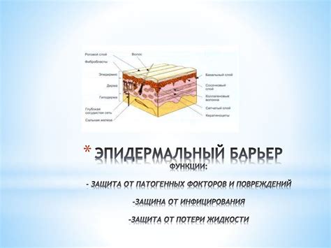 Защита отправления от потери и повреждений