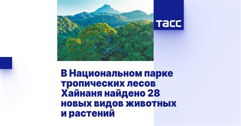 Защита редких видов животных и растений в национальном парке