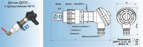 Защитная функция сохранения суставных щелей от повреждений и износа