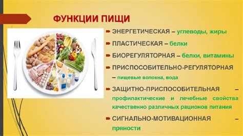 Защитное значение углеводов: роль в организме и польза для здоровья