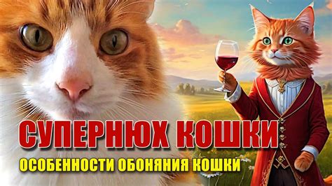 Защитные свойства кулона кошки