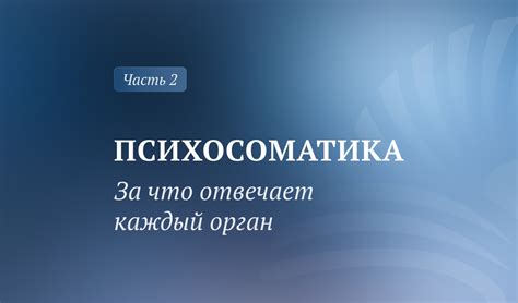 За что отвечает каждый показатель шкалы?