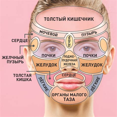 За что отвечает массаж?