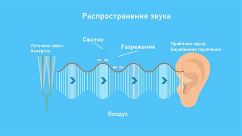 Звуковая волна: основное понятие и свойства