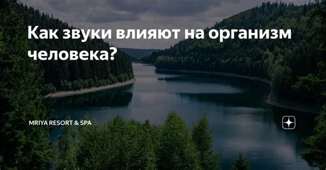 Звуковая терапия: как звуки воздействуют на организм