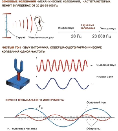 Звуковые колебания