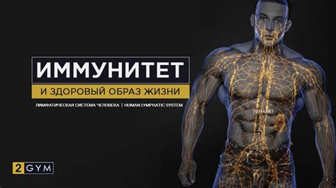 Здоровый образ жизни и иммунитет