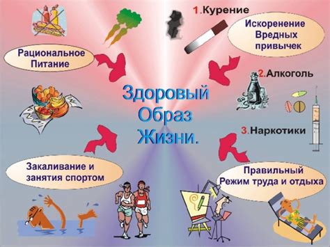 Здоровый образ жизни и устранение проблем с газами