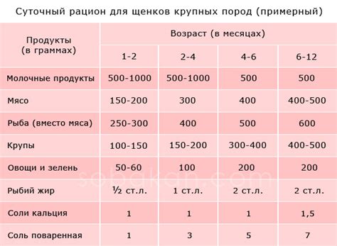 Здоровый рацион: основные принципы кормления щенков