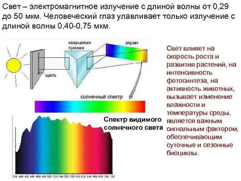 Зеленый свет как фактор влияния на нашу жизнь