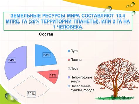 Земельные ресурсы и их хранение в Земельном банке