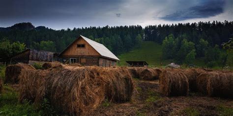 Земельный участок: основные характеристики