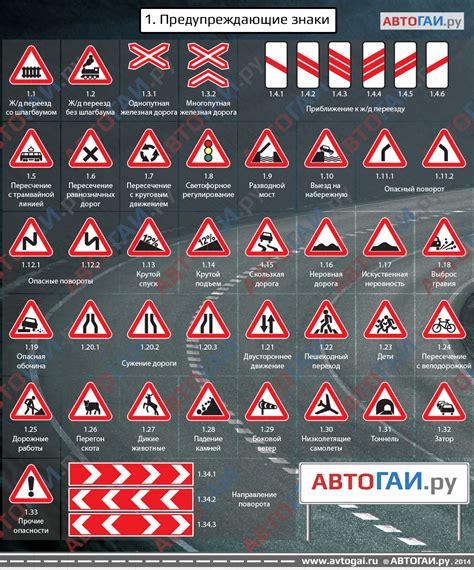 Знаки и поверья: крыса на дороге