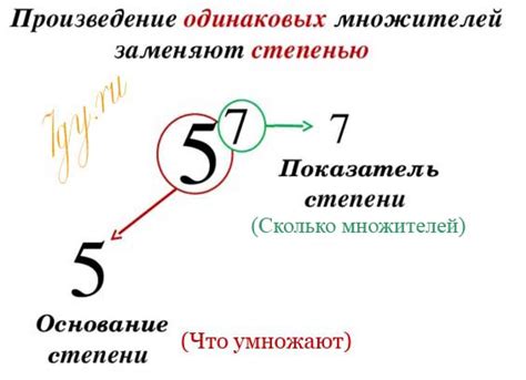 Знаки и степень